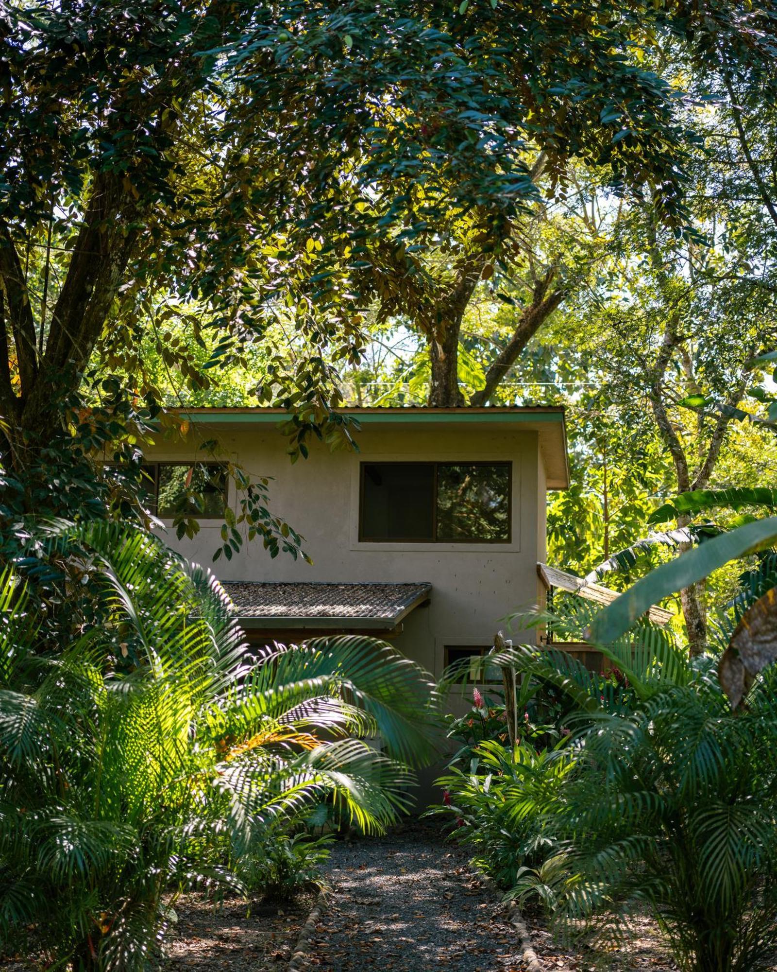 Feeling Trees Jungle Lodge Cabuya  Eksteriør bilde