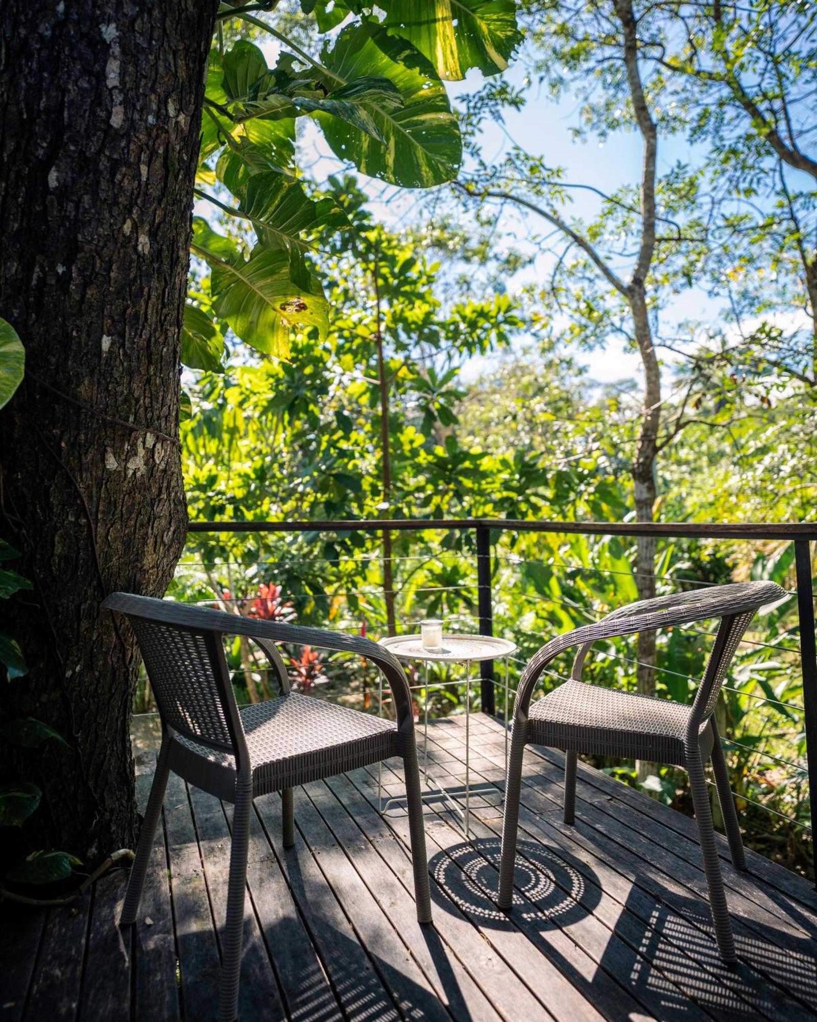 Feeling Trees Jungle Lodge Cabuya  Eksteriør bilde
