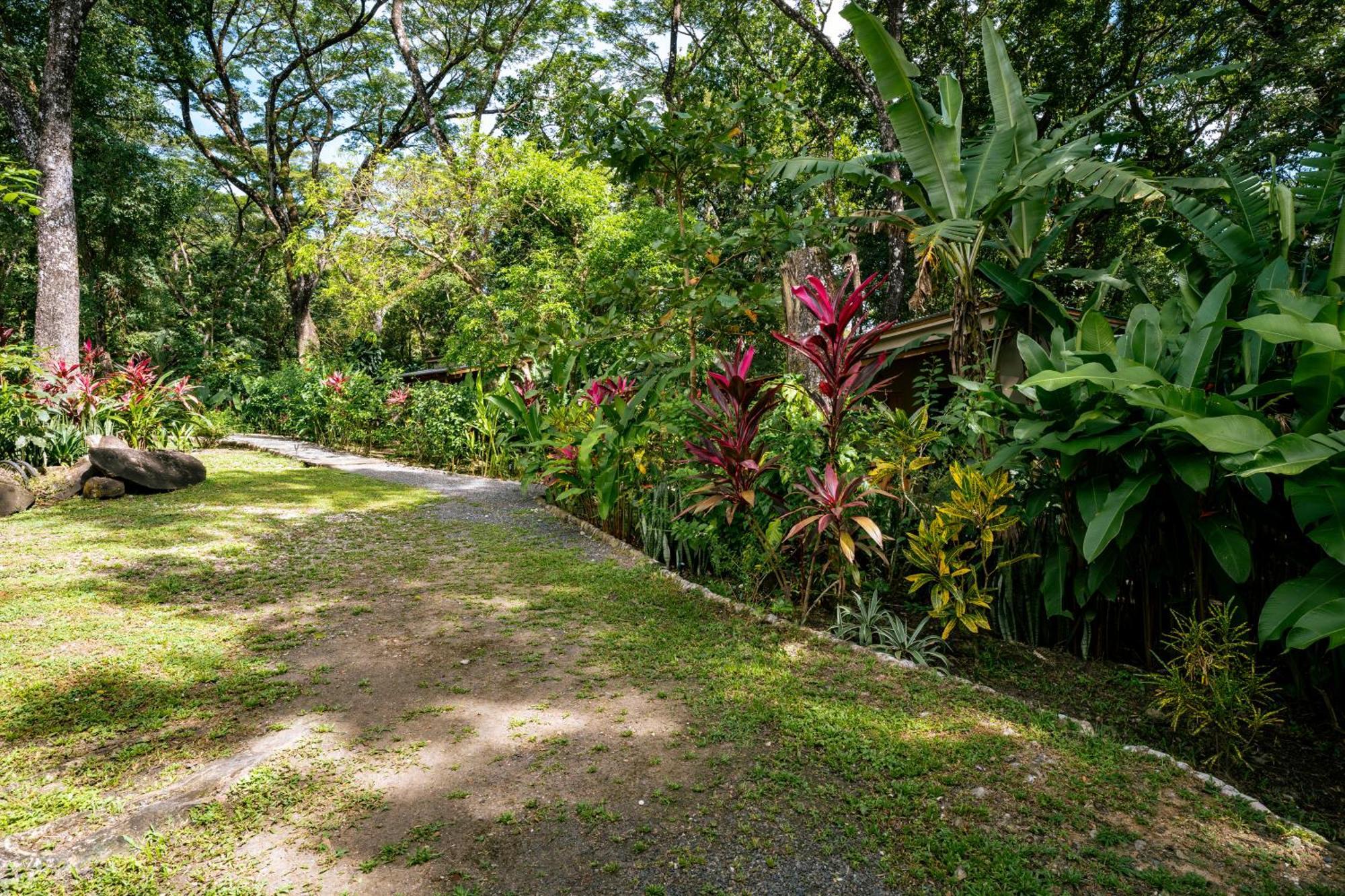 Feeling Trees Jungle Lodge Cabuya  Eksteriør bilde