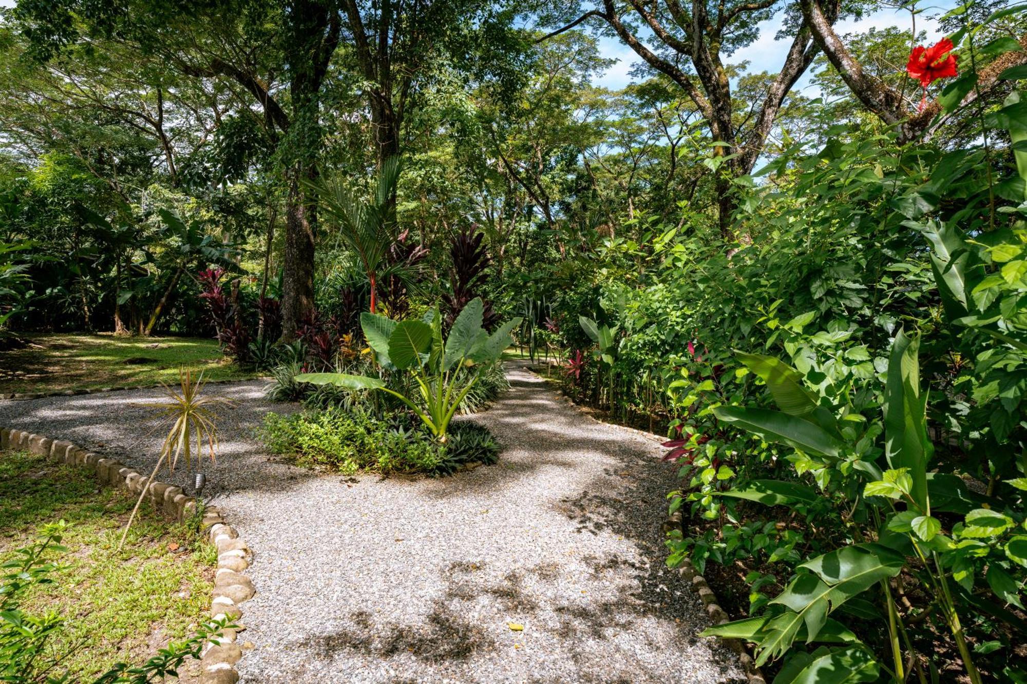Feeling Trees Jungle Lodge Cabuya  Eksteriør bilde