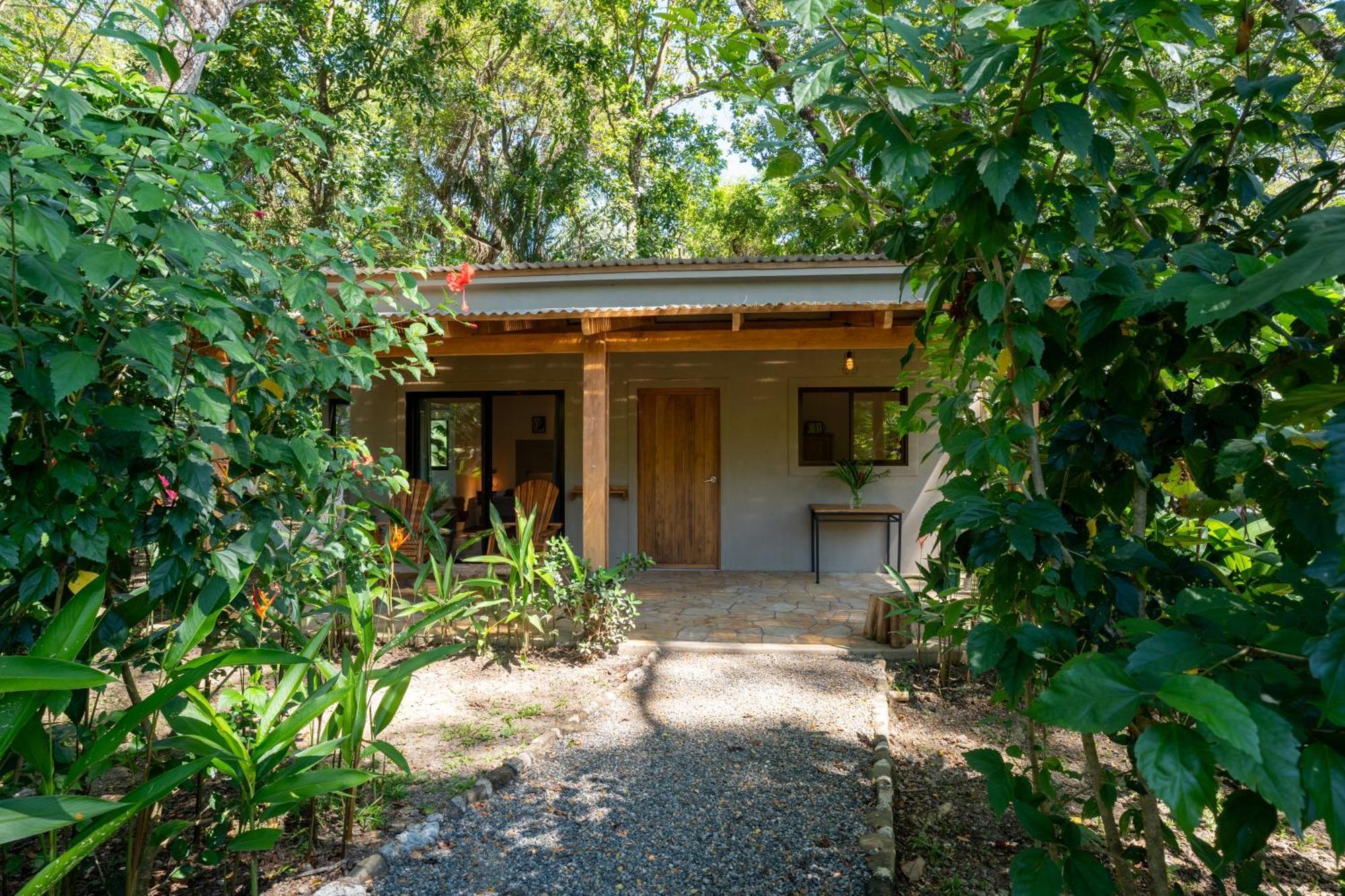Feeling Trees Jungle Lodge Cabuya  Eksteriør bilde