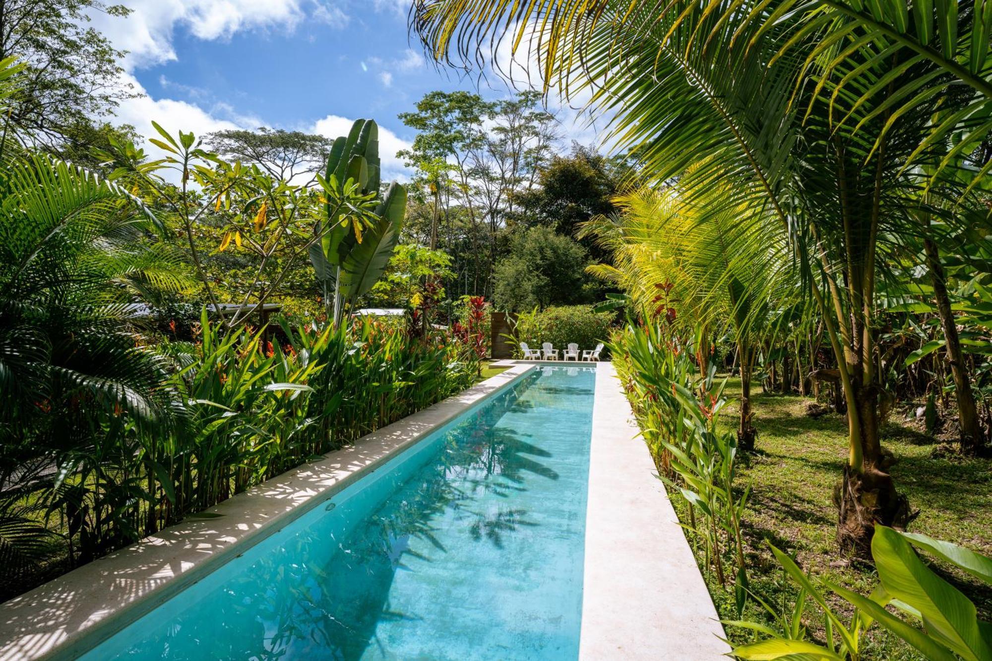 Feeling Trees Jungle Lodge Cabuya  Eksteriør bilde