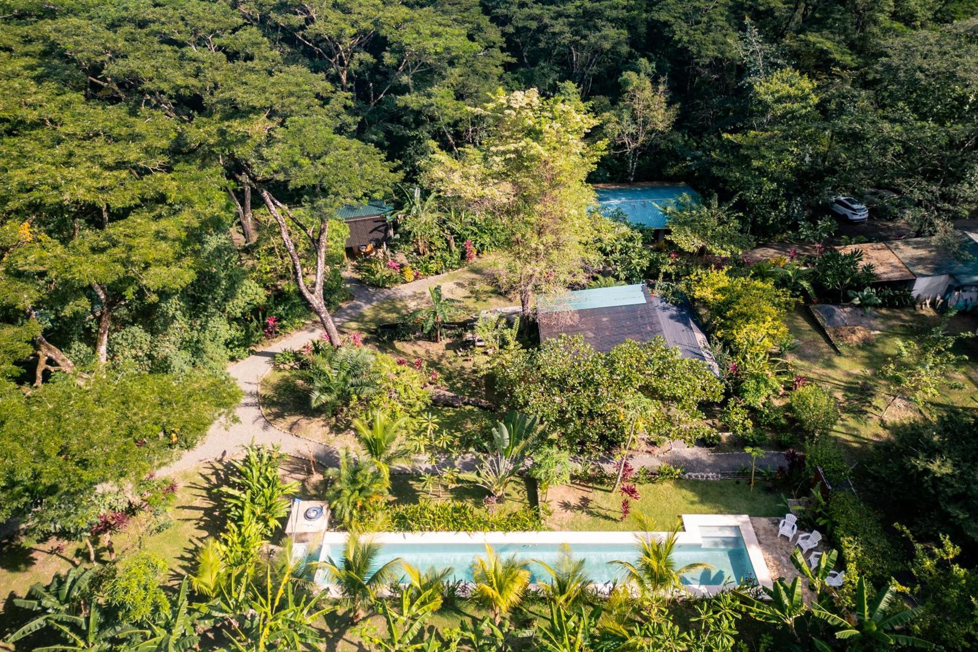 Feeling Trees Jungle Lodge Cabuya  Eksteriør bilde