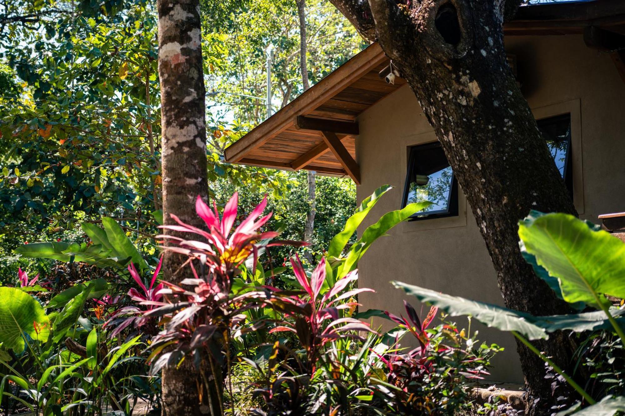 Feeling Trees Jungle Lodge Cabuya  Eksteriør bilde