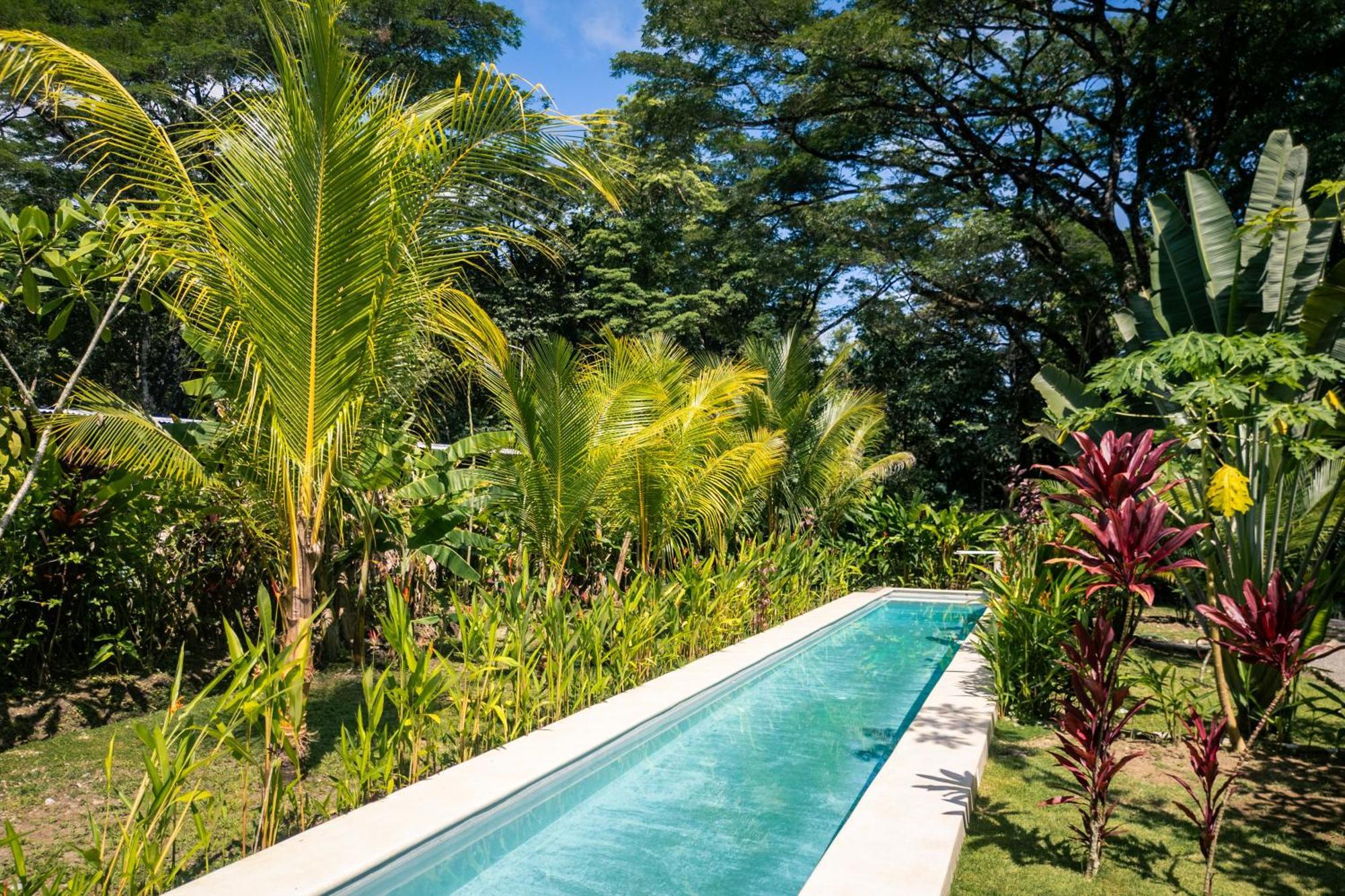Feeling Trees Jungle Lodge Cabuya  Eksteriør bilde
